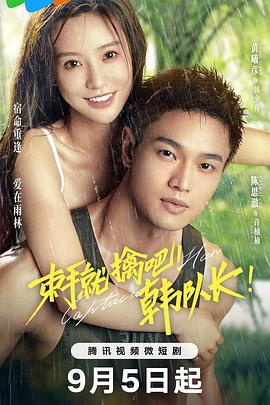 电影：束手就擒吧！韩队长