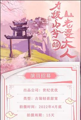 电影:力拔山兮的老婆大人