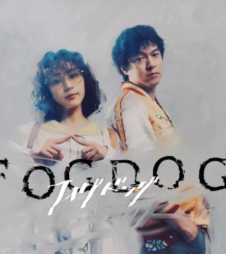 电影：雾中之犬