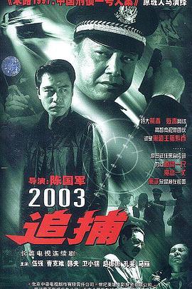 电影：追捕2003