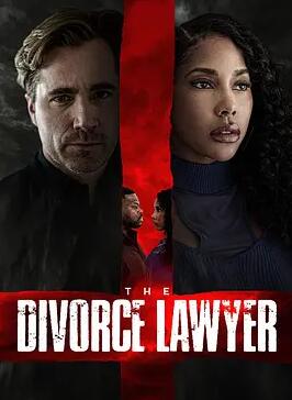 电影:离婚律师2025