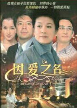 电影：因爱之名
