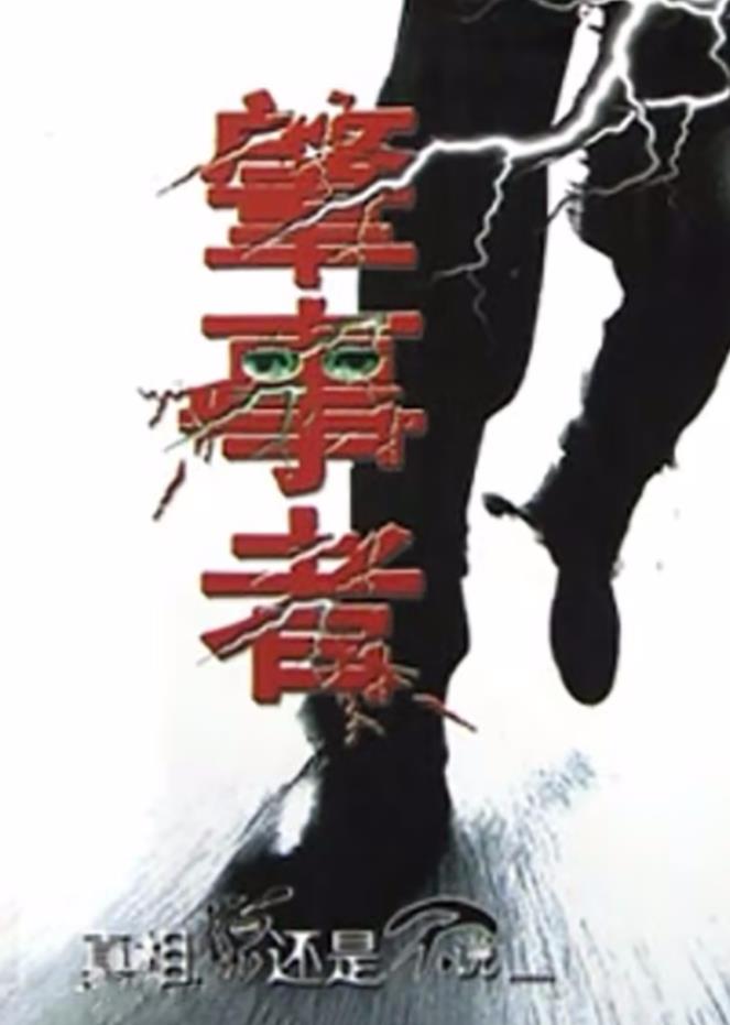 电影：肇事者2004