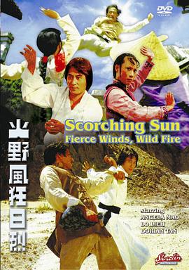 电影：烈日狂风野火