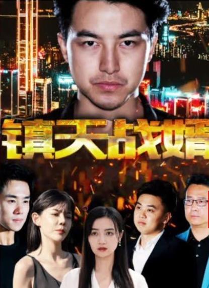 电影：镇天战婿