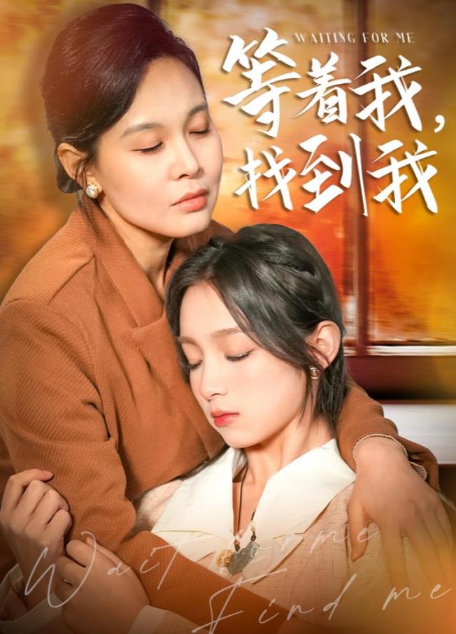 电影：等着我，找到我