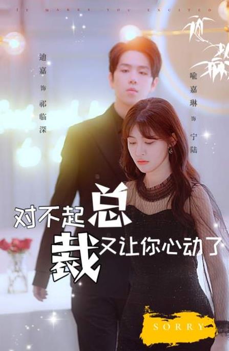 电影:对不起总裁又让你心动了