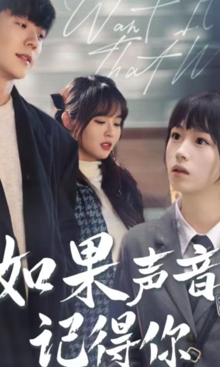 电影：如果声音记得你