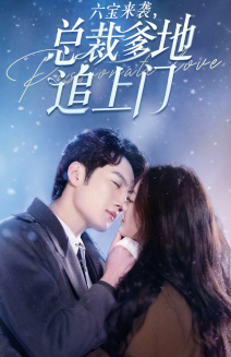 电影:六宝来袭总裁爹地追上门