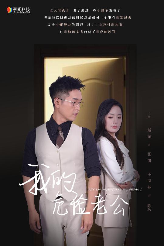 电影：我的危险老公