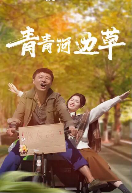 电影：青青河边草2024