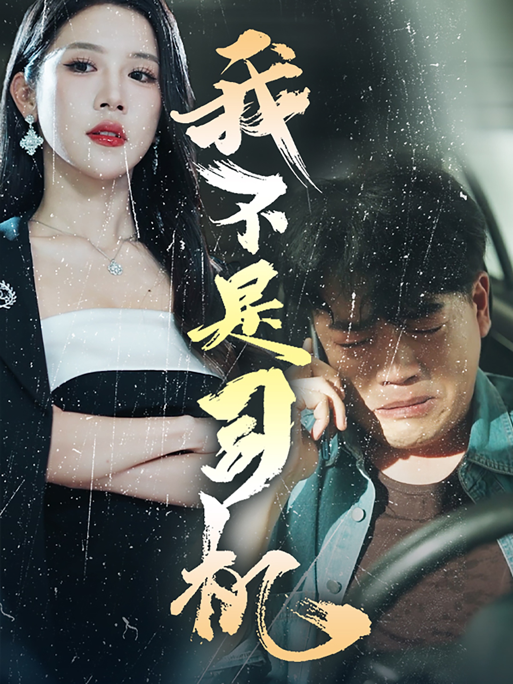 电影：我不是司机