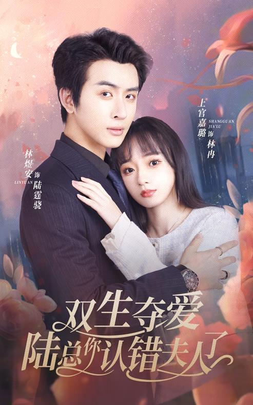 电影：双生夺爱陆总你认错夫人了