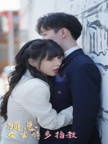 电影:顾总请多多指教