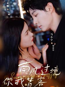 电影：南风国境你我皆客